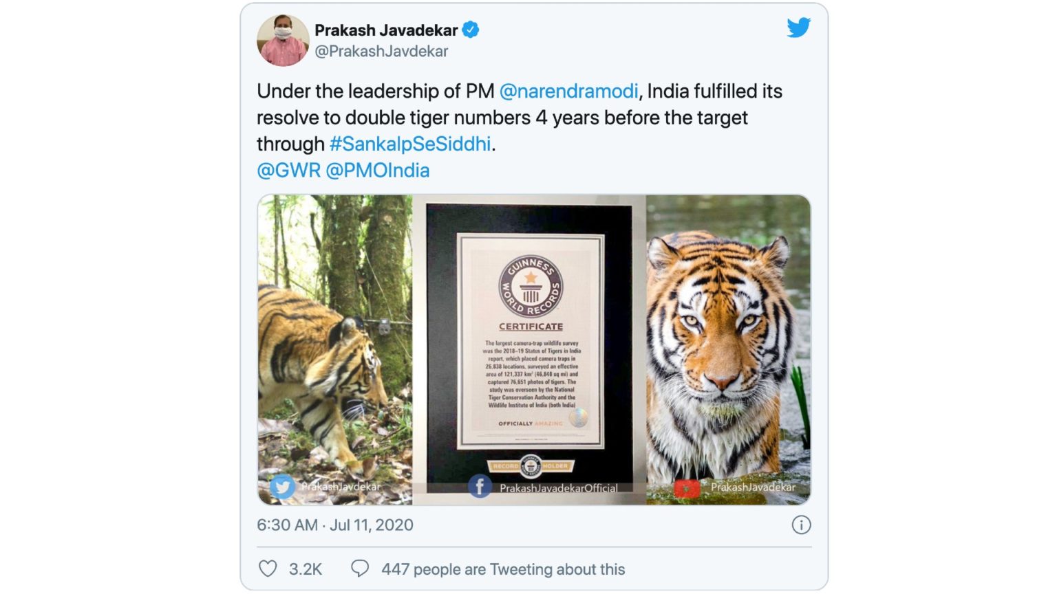 India’s Tiger Census sets a New Guinness Record for being the world’s