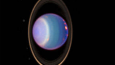 Uranus is surrounded by its four major rings and 10 of its 27 known moons in this color-added view that uses data taken by the Hubble Space Telescope in 1998. A study featuring new modeling shows that four of Uranus’ large moons likely contain internal oceans. Credits: NASA/JPL/STScI