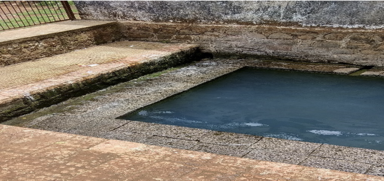 New Genus of Hydrogen-Producing Bacteria Discovered in Maharashtra Hot  Spring Holds Renewable Energy Promise