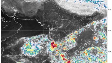 Heavy Rainfall Batters Parts of Kerala; Ernakulam Records Highest Totals